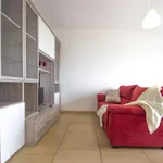 Rent 1 bedroom apartment in Milano