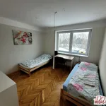 Rent 10 bedroom house of 280 m² in Włocławek