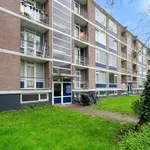 Huur 4 slaapkamer appartement van 79 m² in Rotterdam