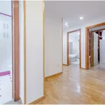 Rent a room of 110 m² in madrid