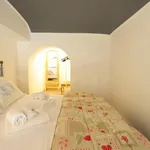 Rent 1 bedroom apartment of 50 m² in Turin