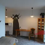 Rent 1 bedroom apartment of 30 m² in Železná Ruda