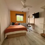 Rent a room in Valencia