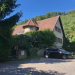 Rent 3 bedroom apartment of 56 m² in Boersch