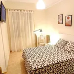 Rent a room in zaragoza