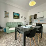 Rent 3 bedroom apartment of 60 m² in Pisa