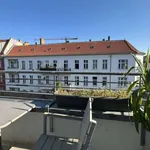 Rent 1 bedroom apartment of 55 m² in berlin