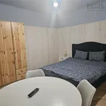 Rent 2 bedroom apartment of 40 m² in Brasov