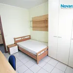 Rent 2 bedroom apartment of 32 m² in Novara