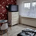 Rent 3 bedroom house of 100 m² in Wrocław