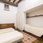 Rent 2 bedroom apartment of 50 m² in Firenze