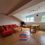 Rent 1 bedroom apartment in České Budějovice