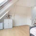 Huur 2 slaapkamer appartement van 115 m² in Arnhem