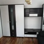 Rent 1 bedroom apartment of 43 m² in Brno