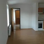 Rent 2 bedroom apartment in Svitavy