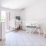 Affitto 2 camera appartamento di 35 m² in Cerveteri