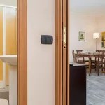 Rent 1 bedroom apartment in Milan