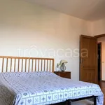 Rent 6 bedroom apartment of 137 m² in Perugia