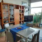 Rent 2 bedroom apartment of 70 m² in Piacenza