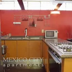 Rent 1 bedroom apartment of 40 m² in Mexico City