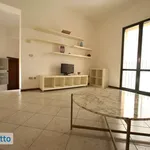 Rent 4 bedroom apartment of 100 m² in Bologna