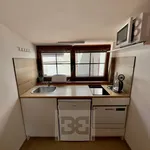 Rent 1 bedroom apartment in Beroun