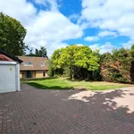 Rent 3 bedroom house in Chertsey