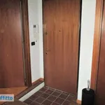 Rent 2 bedroom apartment of 50 m² in Turin