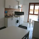 Rent a room in turin