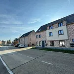 Rent 2 bedroom apartment in Hulshout Houtvenne