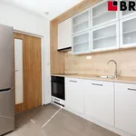 Rent 4 bedroom apartment of 75 m² in Brno