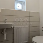 Rent 1 bedroom apartment of 29 m² in Hodkovice nad Mohelkou