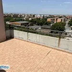 Rent 3 bedroom apartment of 90 m² in Foggia