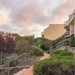 Rent 1 bedroom apartment in Narrabundah