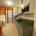 Rent 2 bedroom apartment of 60 m² in Bologna