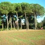 Farmhouse via Quadrelle, Palestrina