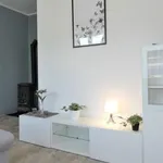 Rent 1 bedroom apartment of 28 m² in 11 Listopada