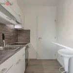 Rent 1 bedroom apartment of 23 m² in Trhový Štěpánov