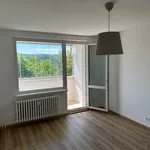 Rent 2 bedroom apartment in Karlovy Vary