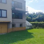 Pronájem RD po celkové vnitřní rekonstrukci 5+kk/168 m2 s garáží - Bolatice