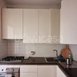 Rent 3 bedroom apartment of 90 m² in Roma