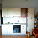 Rent 1 bedroom apartment of 35 m² in Genoa