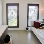 Rent 1 bedroom apartment in Leuven