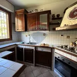 Rent 9 bedroom house of 160 m² in L'Aquila