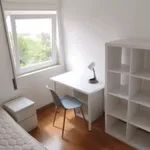 Rent 3 bedroom apartment in Coimbra