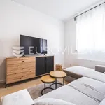 Rent 1 bedroom apartment of 34 m² in Zagreb