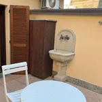 Rent 1 bedroom apartment of 50 m² in Novara