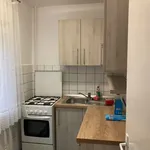 Rent 1 bedroom apartment in Lovnic