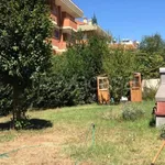 Rent 4 bedroom apartment of 100 m² in Roma