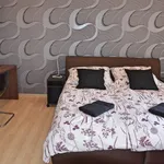 Rent 1 bedroom apartment of 40 m² in Brno